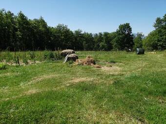 La Cabane Aux R�ves