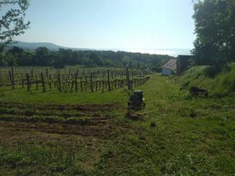 Ver fotos