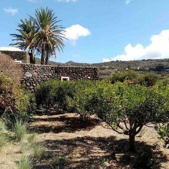 Antique Rural Dammuso With Pool And Sea View