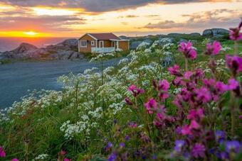 Sandh�land Camping Hytte Nr 7