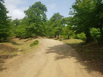 Family House In Thermal & Hot Springs Village Azerbaijan