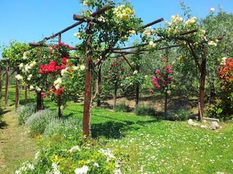 Agroturismo Agriturismo Casale Dei Frontini