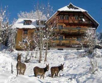 Apartamento Gibbesbachhof