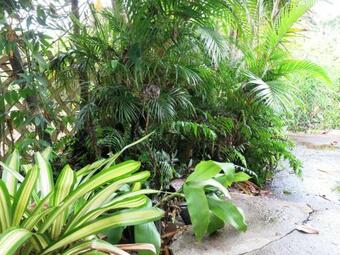 Pahoa Village Hostel