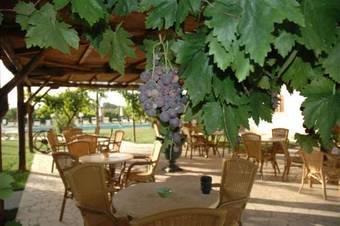 Apartamento Fattoria Il Giardo