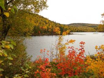 Club De Chasse Et P�che Tadoussac