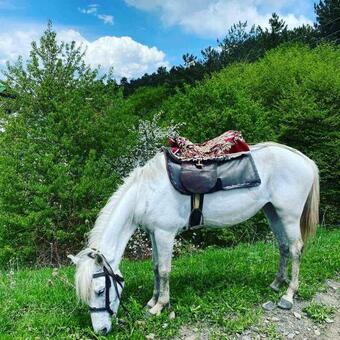 Green Agarak Guest House Near Dendropark, Stepanavan