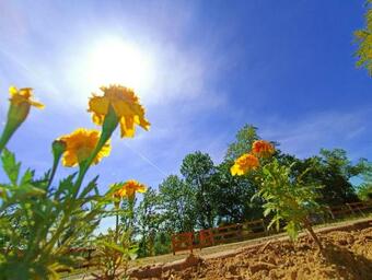 Brvnara Bata / Vikendica Na Dan