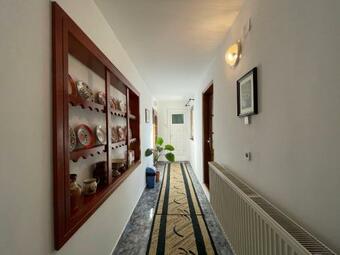 Hostal Pensiunea Nechita