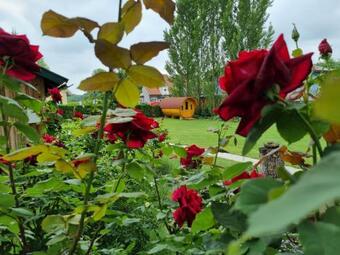 Schlaffass Im Traumgarten