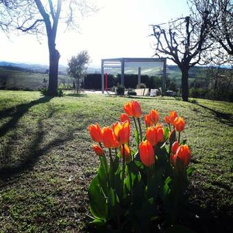 Agroturismo Casa Lucesole