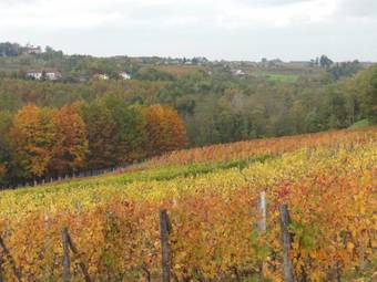 Agroturismo Agriturismo Cascina Tollu