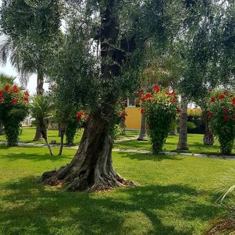 Hotel Villa Eva Beach