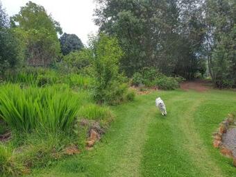 Cottage Imvana Pink (sleeps 6)