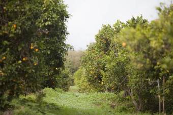 Agroturismo Il Melograno