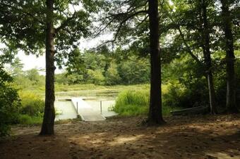 Gateway To Cape Cod Vacation Cottage 3