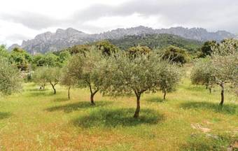 Holiday Home Villa Ferulas