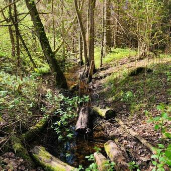 Glamping Bubble Hallika