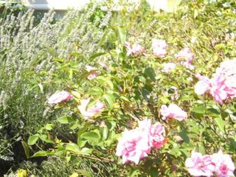 Agroturismo Le Soleil Proven�al