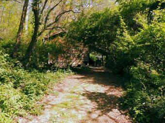 Cabane Dans Les Bois Avec Vue Sur Les Pyr�n�es