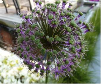 Bed & Breakfast Parfum De Nuit