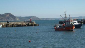 Bed & Breakfast Luxury Log Cabin With Views Of The Devon Countryside