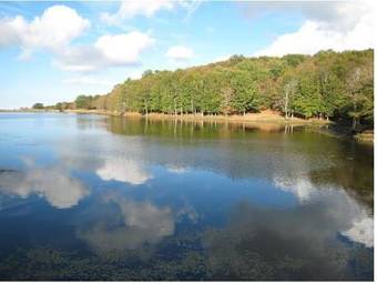 Hostal La Tela Di Penelope