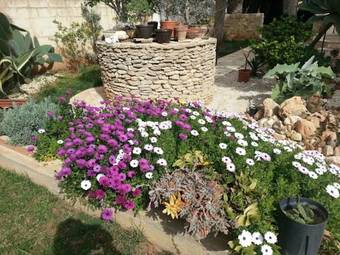 Apartamento Luna Iblea