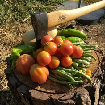 Main Villa: La Bruguera De P�bol