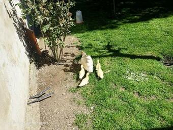 Casa Rural Arribes Vida II