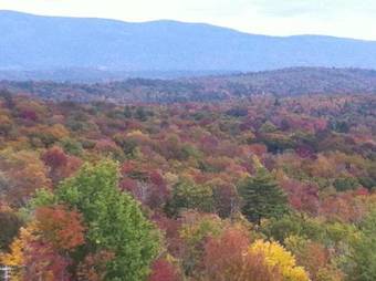 Hotel Bromley Sun Lodge