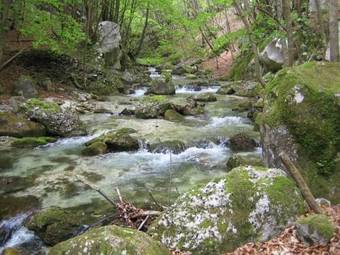 Apartamentos Gli Ulivi