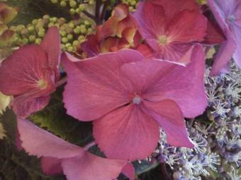 Hotel De La Porte Saint-malo