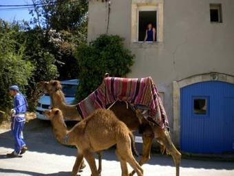 Albergue Sidsmums Travellers Retreat