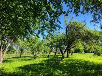 ?agar?s Stovyklaviet?