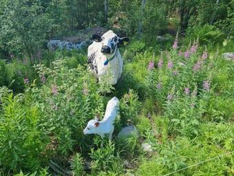 H�lsingeg�rd I Levande Landsbygd