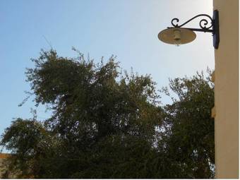 Agroturismo Masseria De Michele