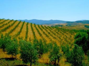 Apartment Acqua Due Pt Peccioli