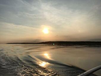 Ver fotos