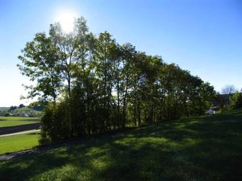 Landhotel Sonnenb�hl