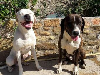 Secret Garden, A Little Paradise Of Tranquility.