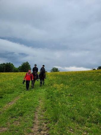 Apartamento Cazare Vama Buzaului La Vama Aniral