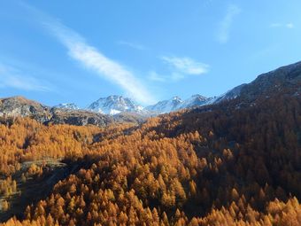 Hotel Parco Nazionale