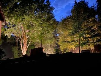 Le Tilleul De Bressolles