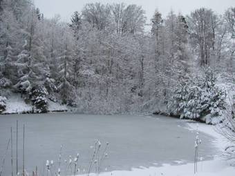 Agroturismo Bauernhof Flucher-plaschg