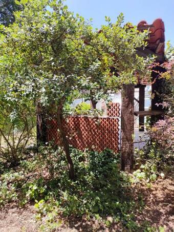 Confortable Suite Parentale Avec Jardin Et Piscine