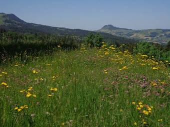 Lodge Berggasthof Gurnigelbad