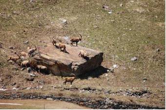 Apartamento Villaggio Diffuso Gran Paradiso Rhemes Notre Dame