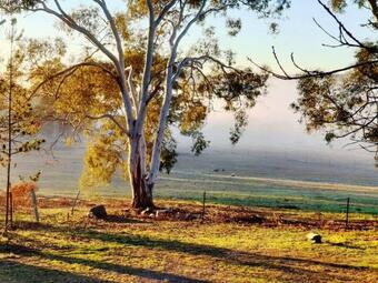 Relax And Unwind - Greenwich Park
