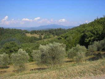 Agroturismo Podere Capitignano